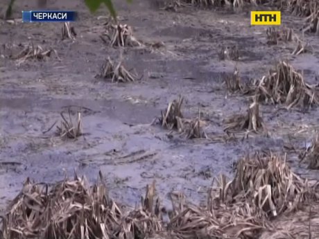 В Черкасской области селян заливает дерьмом с неисправного коллектора