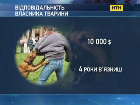 У столиці агресивний пес напав на власницю іншої собаки