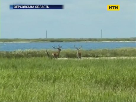 У відпустку Україною - Херсонщина