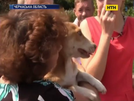 В Золотоноше соседи спасли собаку от владельца-садиста