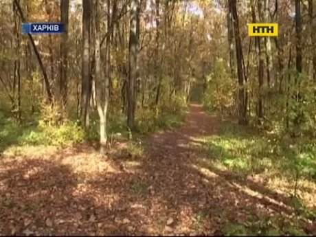 В харьковском лесопарке мужчина с ножом набросился на глухонемую девочку