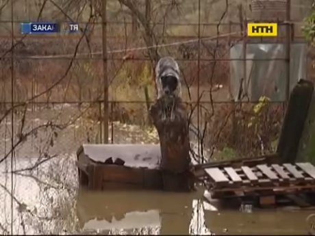 После дождей вода на Закарпатье поднялась до пяти метров