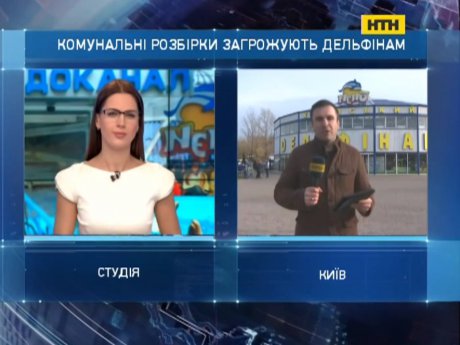 Вихованці столичного дельфінарію опинилися під загрозою
