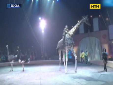 "Шапіто" закривають по всій країні