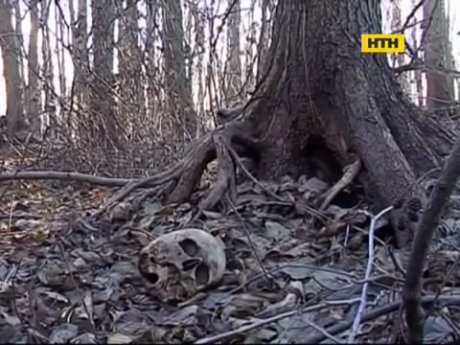 В Черкасской области найдены останки пропавшей женщины
