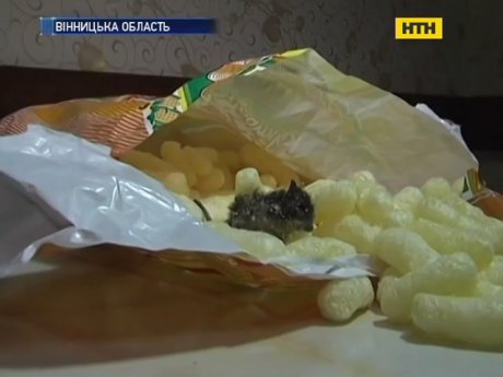 В Винницкой области дети нашли в пакете сладостей дохлую мышь