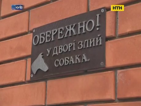 Агрессивные собаки - есть ли управа на их владельцев?