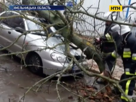 В Хмельницком сломанное ветром дерево разбило автомобиль