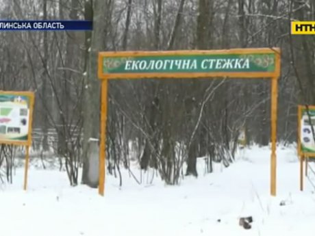 На прогулянку зимовим лісом та із дикими звірами