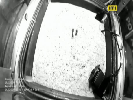 И на Марсе будет картошка расти