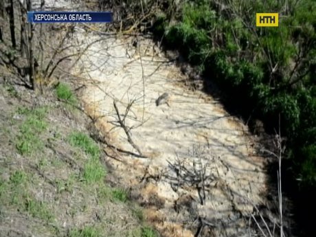 Село на Херсонщині труять відходи сирзаводу