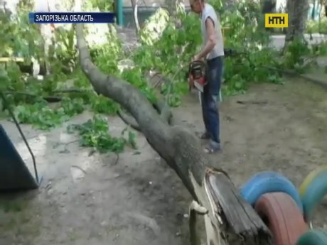 В Мелитополе дерево упало на женщину с коляской