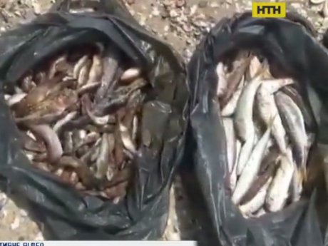 На узбережжі Чорного моря під Одесою затримали браконьєрів з уловом аж на 14 млн гривень
