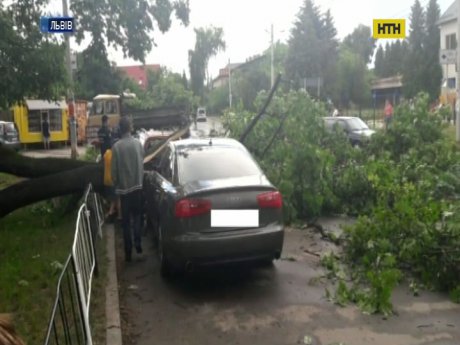 Ураган натворил бед во Львове