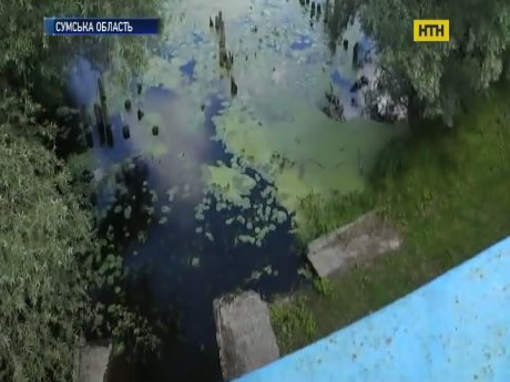 На Сумщине возникла угроза заражения сибирской язвой
