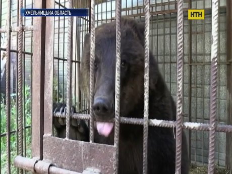 Зоорятівник з Хмельницького шукає місце для своїх підопічних