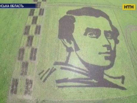 Гигантский "рисовый" портрет Тараса Шевченко вырастили под Скадовском на Херсонщине