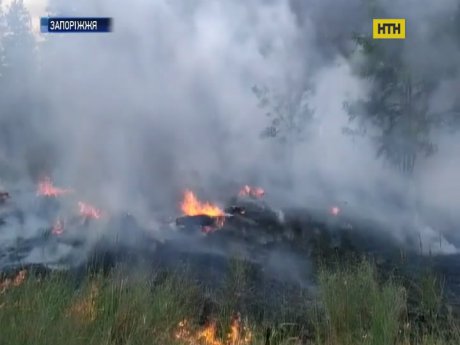 Умышленные поджоги уничтожают природу Хортицы