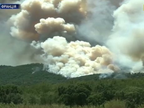 На узбережжі Середземного моря вже вигоріло близько 4 тисяч гектарів лісів