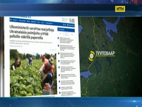 Заробітчани, які "зникли" у Фінляндії, просто знайшли іншу роботу