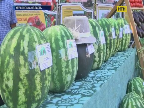 На Херсонщине состоялся праздник арбузов