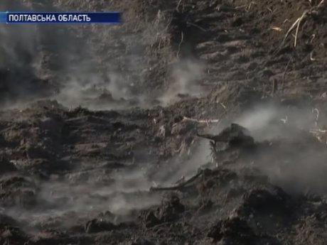 На Полтавщині вже кілька днів гасять торфовища