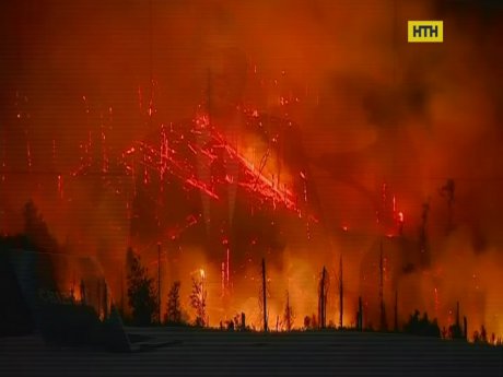 Страшна пожежа в національному парку Грузії