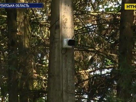 У Карпатах українські лісники встановили більше ста камер
