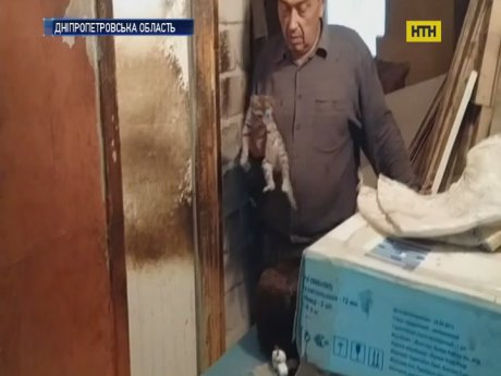 Психически больной житель Кривого Рога считает себя ветеринаром и калечит животных