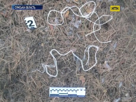 В Охтирці нянька з метою виховання прив'язала підопічних до дерева поряд із цвинтарем