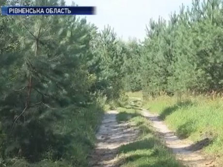 На Рівненщині 87-річна бабуся близько доби сама блукала в лісі