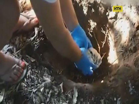 Художниця з Ізраїлю після трансплантації влаштувала похорон власному серцю