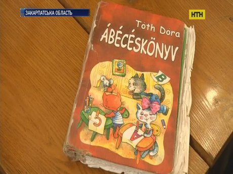 Офіційний Будапешт наполягає на перегляді мовної статті