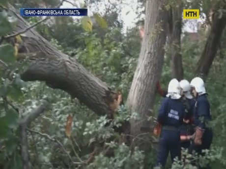 Ураган натворил бед на Западной Украине