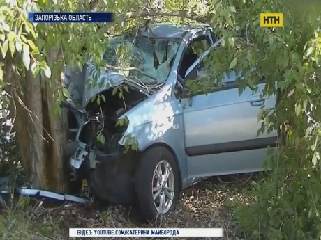 На Запоріжжі загинула жінка-водій, намагаючись не збити собаку