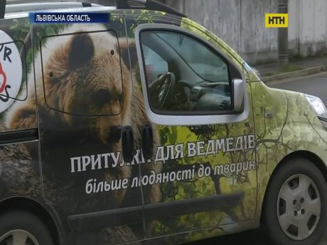 На Львовщине освободили из плена медведицу Машу