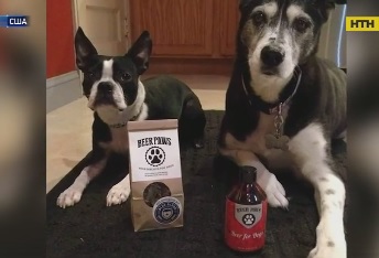 Пиво для собак запустили в производство в США