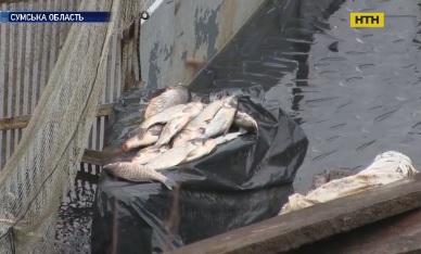 Преступникам, которые ограбили рыбное хозяйство в Сумской области, грозит 10 лет тюрьмы
