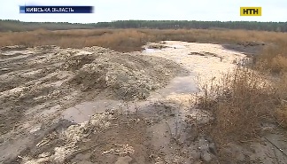 Могильник дохлих курей з'явився на Київщині