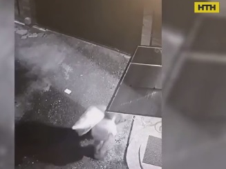 У Києві затримали чоловіка, який закопав тіло дружини у лісі