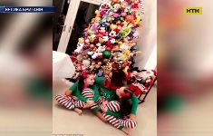 Британка украсила свою трехметровую новогоднюю елку мягкими игрушками