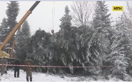 Головна ялинка країни затримується в дорозі через негоду