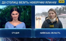 До столиці везуть головну новорічну красуню