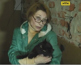 Соседские войны: пенсионерка поселила в однокомнатной квартире десятки кошек и собак