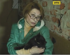 Сусідські війни: пенсіонерка поселила в однокімнатній квартирі десятки кішок і собак