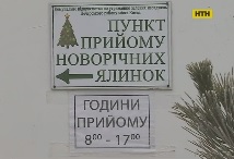 В Україні запрацювали спеціальні пункти з утилізації ялинок