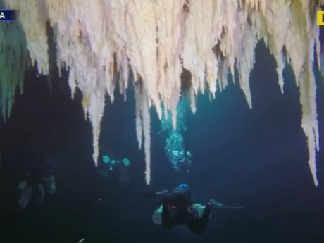 Крупнейшей в мире подводной пещере, которая до сих пор скрывает тайны цивилизации майя, грозит уничтожение