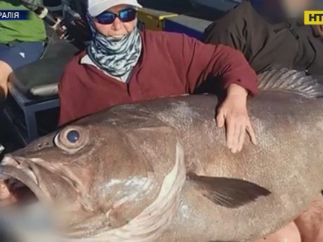 В Австралии пенсионерка поймала рыбу-монстра