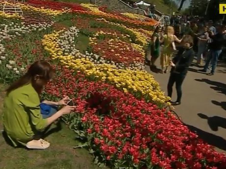 В столице открыли выставку тюльпанов