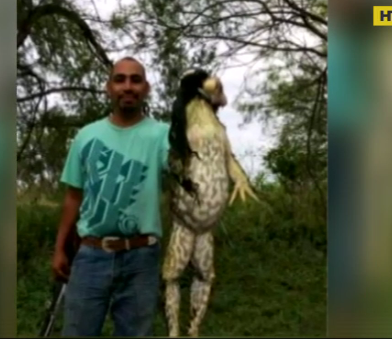 В Техасе мужчина подстрелил лягушку почти своего роста